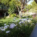 苏瑞斯酒店 2*