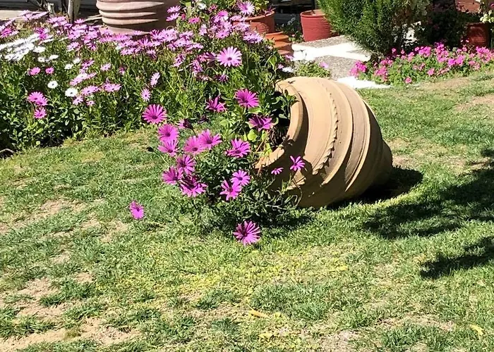 Souris Ξενοδοχείο